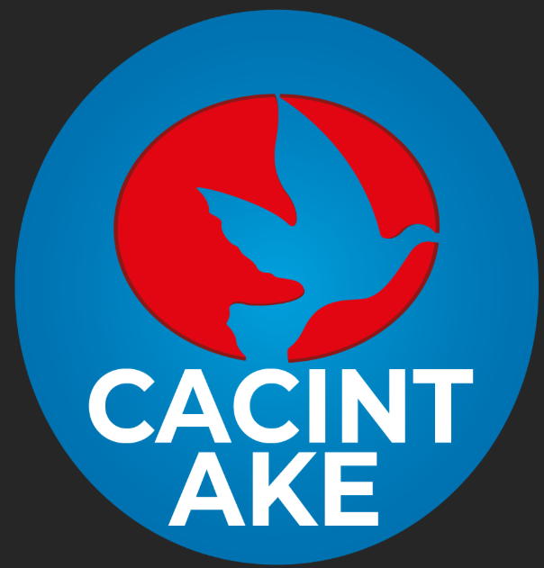 Logo CACINT AKE SARL
